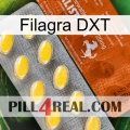 Filagra DXT 42